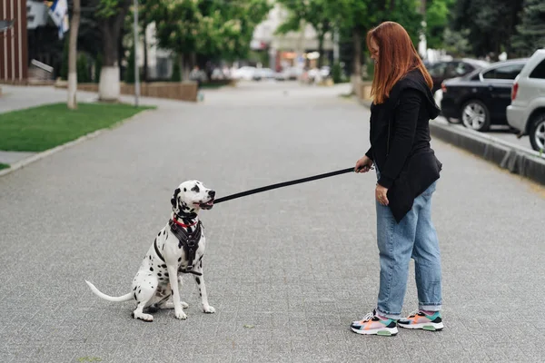 Frau diskutiert und trainiert ihr Dalmatiner-Haustier in der Stadt — Stockfoto