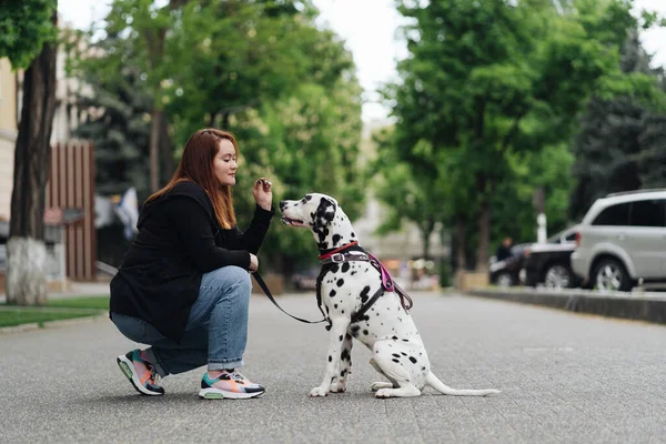 Mulher discutindo e treinando seu animal de estimação dálmata na cidade — Fotografia de Stock