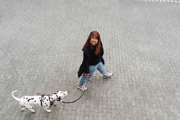 Жінка ходить, обговорює та грає зі своїм далматинським улюбленцем у місті — стокове фото