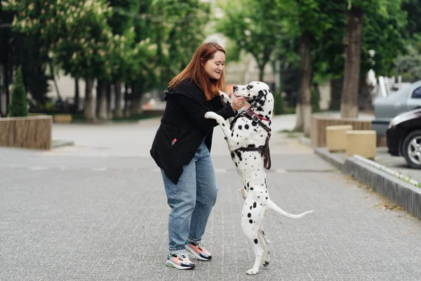 Kadın şehirde dalmaçyalı hayvanını tartışıyor ve eğitiyor. — Stok fotoğraf