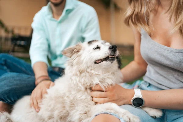 İnsanlarla mutlu köpek portresi — Stok fotoğraf