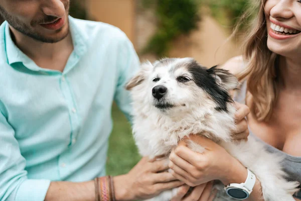 Çimlerin üzerinde köpeği olan güzel bir çift. — Stok fotoğraf