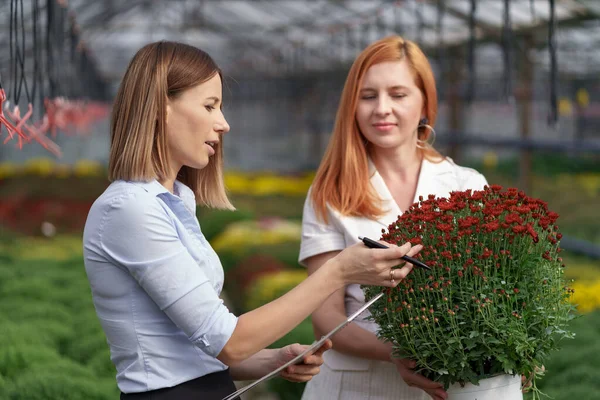 Dvě obchodní ženy vedou rozhovor při návštěvě skleníku — Stock fotografie