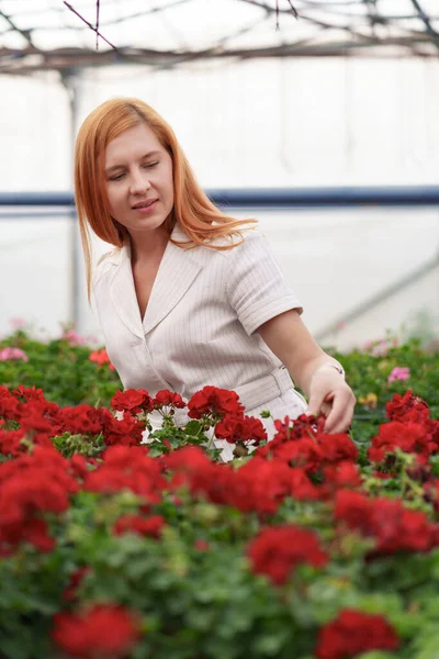 女は手で花に触れる — ストック写真