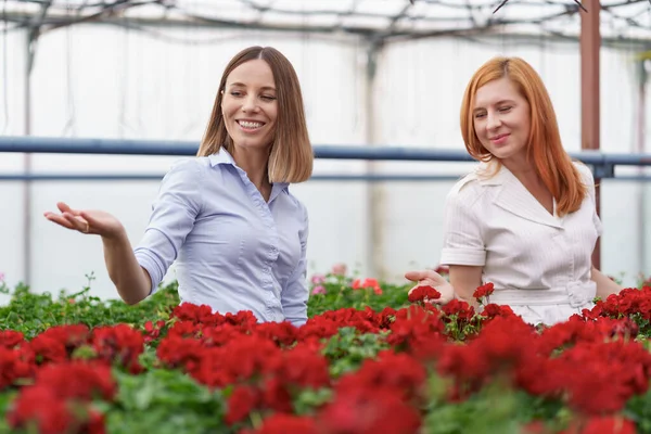 温室を訪問している間に会話をしている2人のビジネス女性 — ストック写真