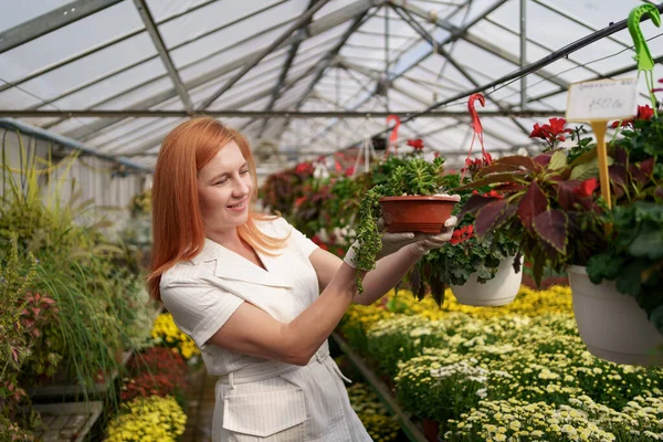 Portrét žena podnikatel ověřování květin v zeleném domě — Stock fotografie