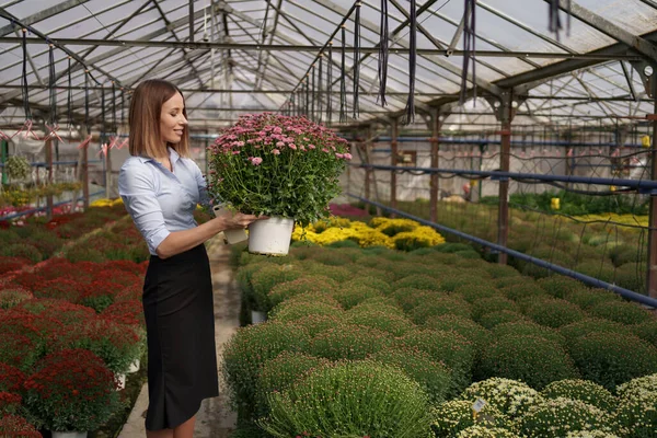 Portrait woman entrepreneur holding pot with flowers — Stock Photo, Image