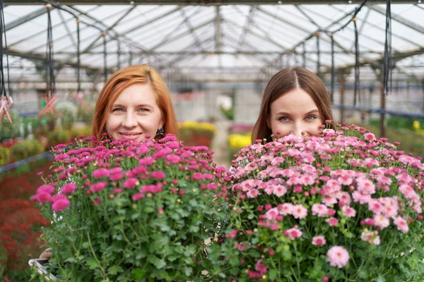Χαμογελώντας γυναίκες ποζάρουν με λουλούδια σε ένα θερμοκήπιο — Φωτογραφία Αρχείου