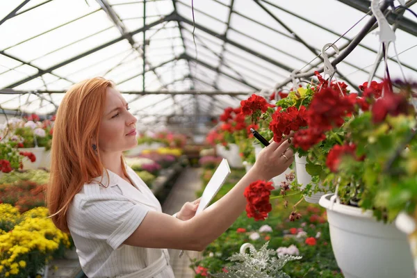 Woman inspecting flowers in greenhouse — Stock Photo, Image