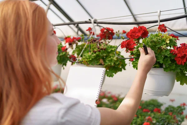 温室内で花を検査する女性 — ストック写真