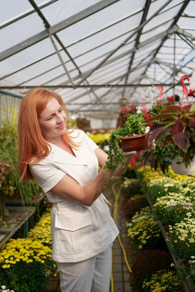 緑の家の中の花を検証肖像女性起業家 — ストック写真