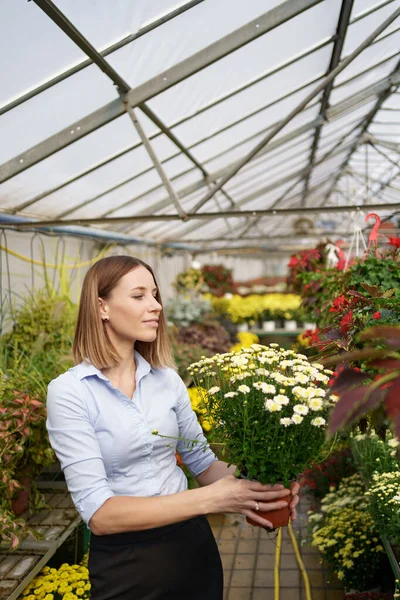 Portrait woman entrepreneur holding pot with flowers — Stock Photo, Image