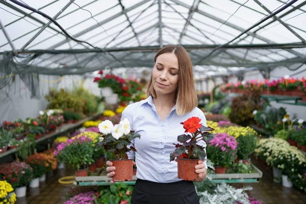 Portrét žena podnikatel drží dva hrnce s květinami — Stock fotografie