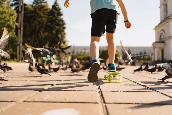 Un niño montando un patín en el parque con palomas —  Fotos de Stock