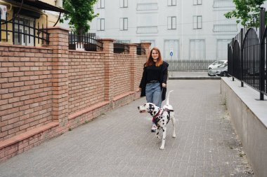 Yürüyen, tartışan ve şehirdeki dalmaçyalı evcil hayvanıyla oynayan bir kadın.
