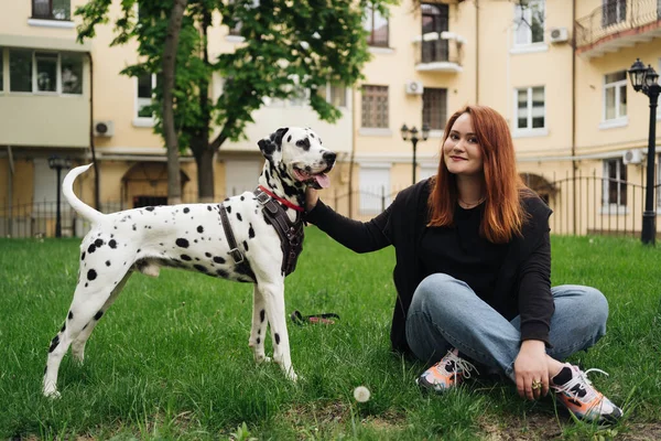 可愛いです女性ポーズと巨大ダルマチア犬上の街の背景 — ストック写真