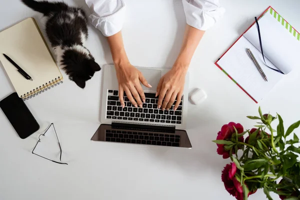 Flat lay home bureau, werkplek met vrouw handen, laptop, rode pioen boeket — Stockfoto