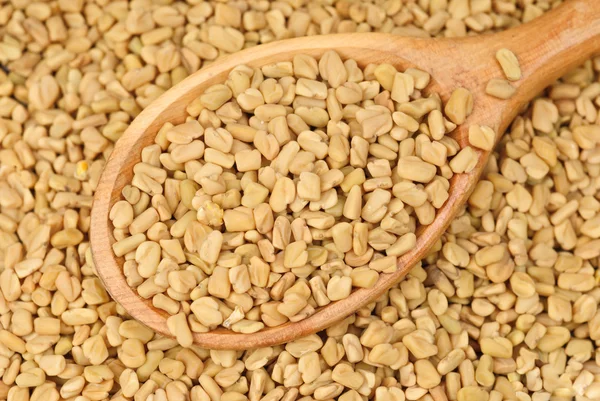 Fenegriek zaden in houten lepel als voedsel achtergrond — Stockfoto