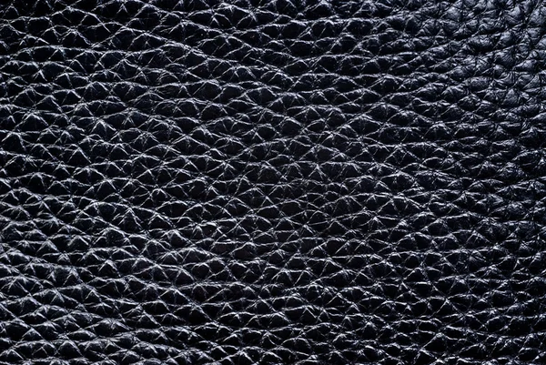 Closeup of seamless black leather background Stock Image
