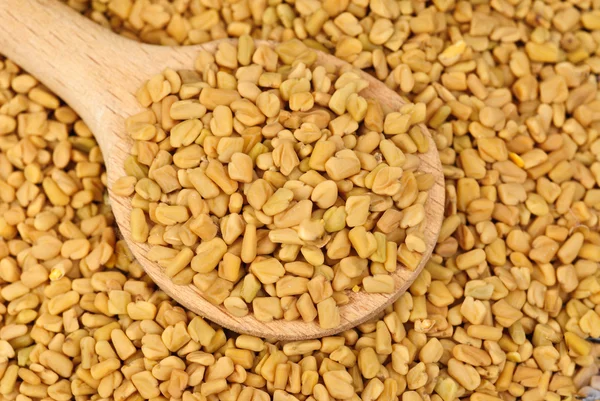 Fenugreek seeds in wooden spoon as food background Stock Image