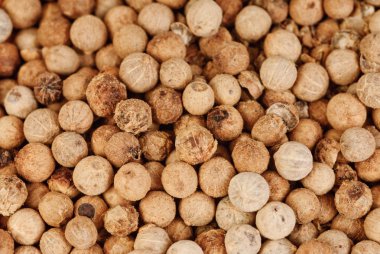 arka plan olarak beyaz biber kadar kapatın 