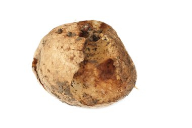 Beyaz izole şımarık kötü patates