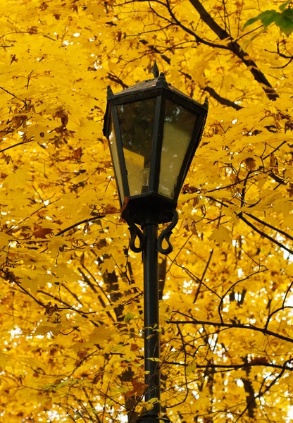 Streetlight in the autumn park — Stock Photo, Image
