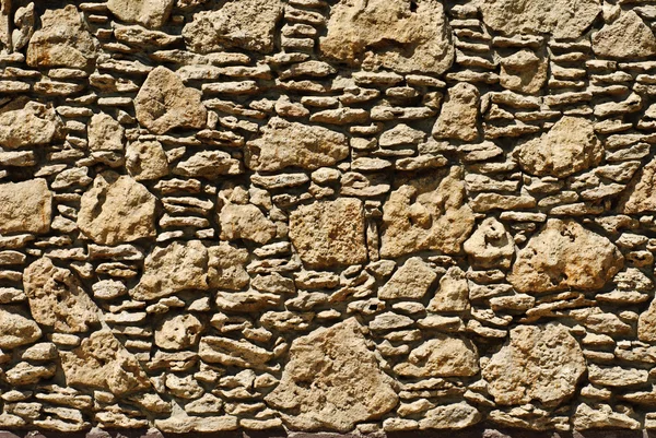 Sfondo Coquina. Grunge struttura calcarea fossile . — Foto Stock