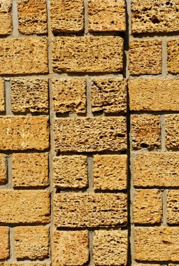 Coquina arka plan. Fosil kireçtaşı doku. 