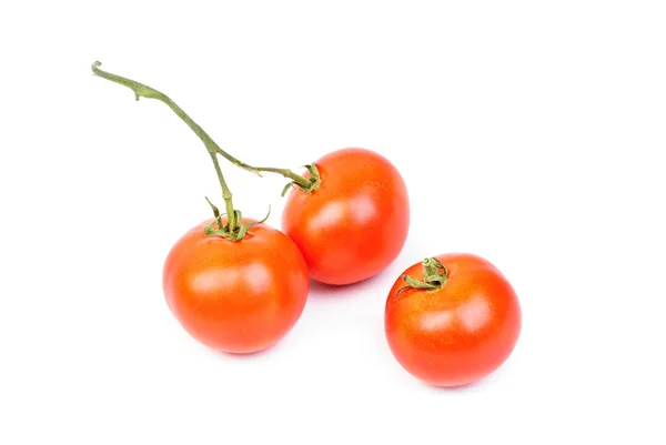 Τρεις ντομάτες απομονωμένες σε λευκό φόντο — Φωτογραφία Αρχείου