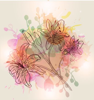 Çizilmiş lily çiçekler teslim