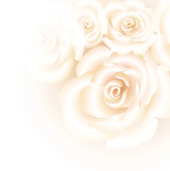 Fond rose blanc — Image vectorielle