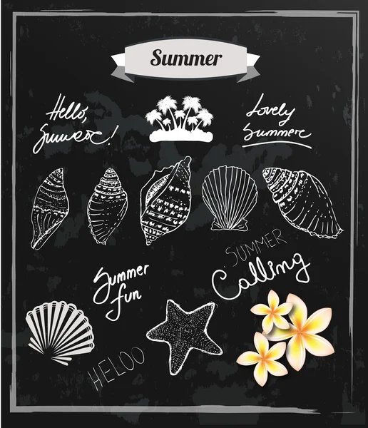 Fondo de verano con conchas marinas — Vector de stock
