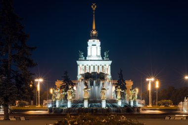 Fuar (sergi başarıları, Ulusal Ekonomi) üzerinde halkların dostluk Çeşmesi için gece görüntüleyin