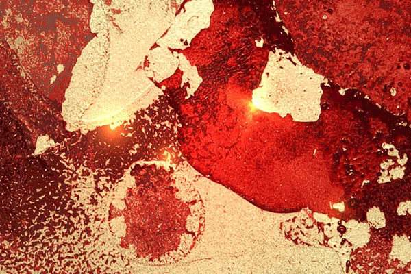 Jeot ve parıltı dokusuyla kırmızı ve altın desenli. Alkol mürekkebi tekniğinde soyut vektör arkaplanı. Parıltılı modern boya. Pankart şablonu, poster tasarımı. Sıvı resim