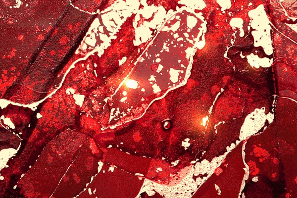 Czerwone, bordowe i złote abstrakcyjne tło. Tekstura marmuru tuszu alkoholowego — Wektor stockowy