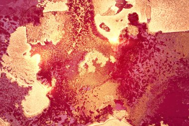 Parlak ahududu ve bordo mermer desenli altın tozlu