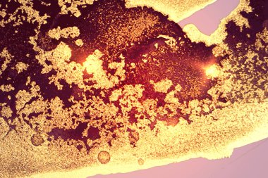 Burgonya ve altın soyut desenli mermer desenli ve parıltılı