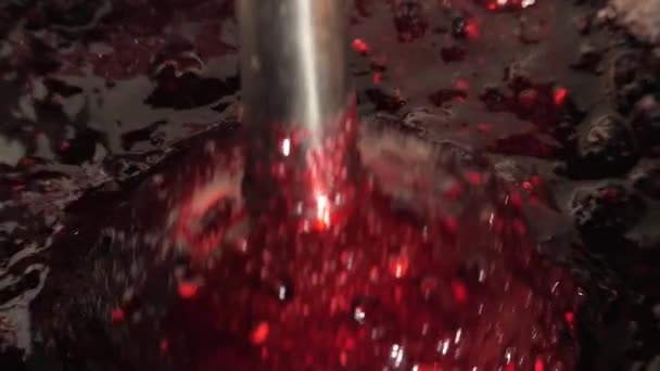 Grinding Raspberries Sugar Operation Electric Blender Preparations Winter Fresh Red — Stock Video