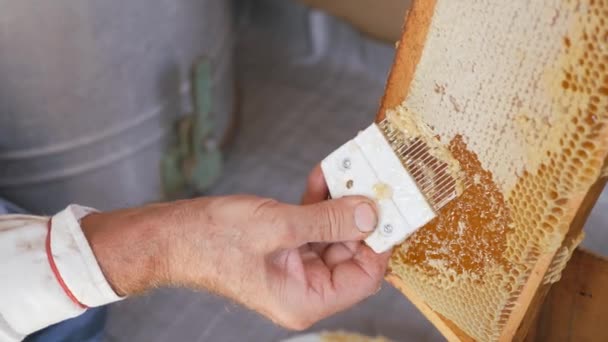 为蜂窝刮胡刀 用梳子把蜂窝打印出来 成熟的蜂蜜 准备蜜露程序 蜂窝里装满蜂蜜 — 图库视频影像