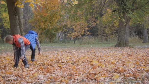 Відкриті Ігри Осінній Пейзаж Осінь Діти Граються Опалим Листям Дерев — стокове відео