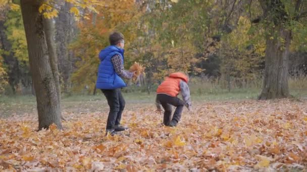 Açık Hava Oyunları Sonbahar Manzarası Sonbahar Çocuklar Devrilmiş Ağaç Yapraklarıyla — Stok video