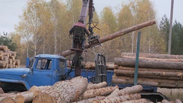 用前面的装载机卸下木材 卸料过程中的建筑材料 原木和木料 锯木厂用原木材料 建造木材 液压起重机平台由司机控制 — 图库视频影像