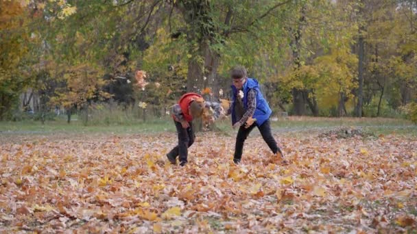 Erkekler birbirlerine düşen sonbahar yapraklarını fırlatırlar.. — Stok video