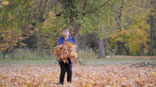 Jesienią. Dzieci bawią się opadłymi liśćmi drzew. — Wideo stockowe