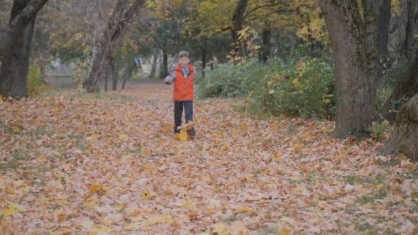 Garçon court à travers les feuilles tombées en mélangeant ses pieds, soulevant les feuilles d'automne au sommet. — Video