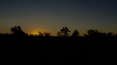 Gün doğumu. Parlak güneş ufuktan yükseliyor. Güneş ışığı çalıların ve ağaçların dallarından doğuyor. Zaman Uygulaması.