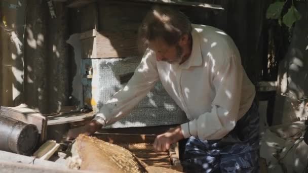 一个留着胡子的男人，养蜂人，在养蜂场里。养蜂人的工作收集蜂蜜。B.养蜂业概念. — 图库视频影像