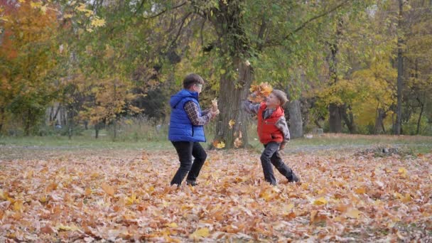 Chłopcy rzucają w siebie jesiennymi liśćmi.. — Wideo stockowe