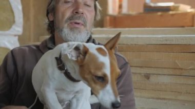 Köpek insanın yüzünü yalıyor. Jack Russell Terrier oyunda..